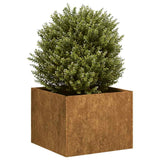 Plantenbak roestig 40x40x30 cm weervast staal