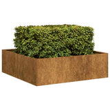 Plantenbak roestig 100x100x30 cm weervast staal