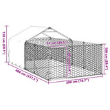 Hondenkennel met ren 4x2x1,5 m gegalvaniseerd staal