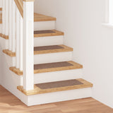 Trapmatten met Latex Achterkant Bruin 25x60 cm