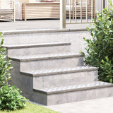 Aluminium Checker Platen 2 stuks Anti-Slip 100x20 cm
