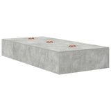 Bedframe Beton grijs Hout Duurzaam Opslagbedframe Rechthoekig