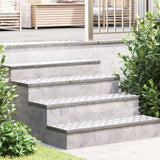Aluminium Checker Platen 2 stuks Antislip 100x25 cm
