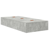 Bedframe Beton grijs Hout Duurzaam Opslagbedframe Rechthoekig