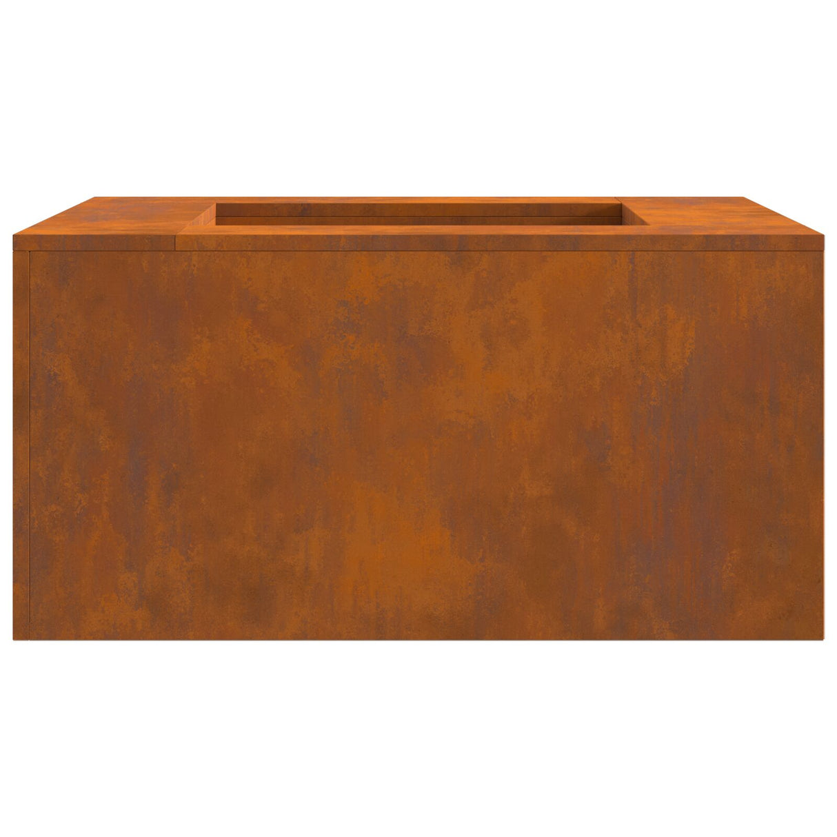 Vuurkorf Vierkant 80x80x40 cm Weervast Staal